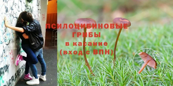 твердый Алексин