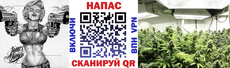 Канабис White Widow  Зуевка 